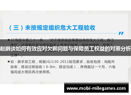 赵鹏谈如何有效应对欠薪问题与保障员工权益的对策分析